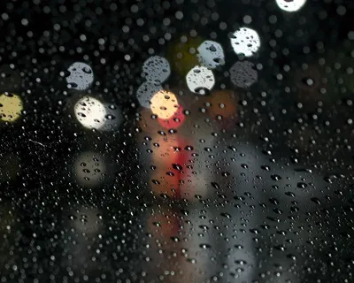 Живые обои природа - Дождь за окном