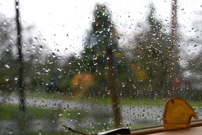 Летний дождь за окном - 65 фото