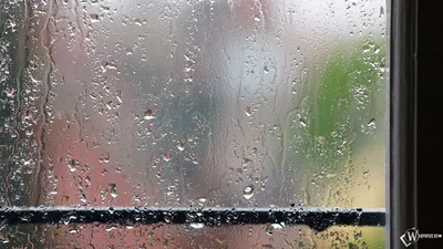 Улица дождь фон за окном автомобиля, за окном машины, улица, дождь фон  картинки и Фото для бесплатной загрузки