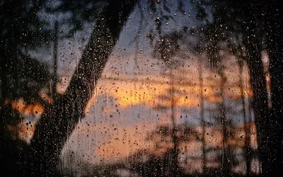 Дождь за окном арт - 50 фото