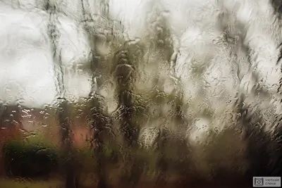 ☔И пусть за окном дождь,... - Истринский городской округ | Facebook