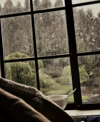 Дождь за окном. Фотограф Сарапулов Игорь