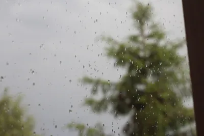 Дождь за окном - YouTube