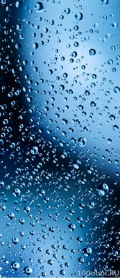 Питер, а за окном влажно,мокро,сыро,да просто типа дождь! :: Юрий Плеханов  – Социальная сеть ФотоКто
