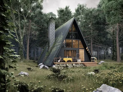 Треугольный домик в лесу - 23 фото