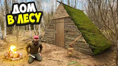 Строю домик в лесу для выживания 24 часа | готовлю курицу на природе 2  часть - YouTube