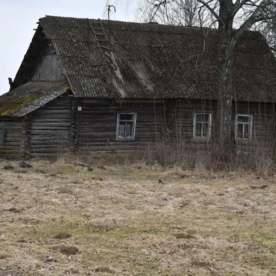 Возле Нарочи и на хуторе: какие дома продаются в Беларуси за 37 рублей -  07.03.2023, Sputnik Беларусь