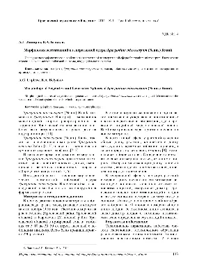 PDF) Морфология вегетативной и генеративной сферы Sparganium microcarpum  (Neum.) Raunk.