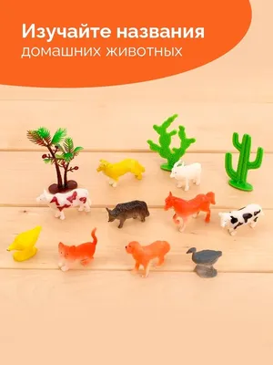 Животные России: фото, список, названия, описание, где обитают на карте