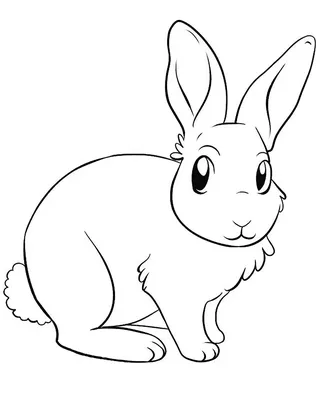 Рисунок зайца (58 лучших фото)