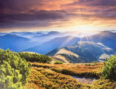 Картинка Лес горы закат » Закат » Природа » Картинки 24 - скачать картинки  бесплатно