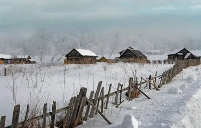Деревня зимой \\ тяжесть деревенской жизни | Уйду в лес | Дзен