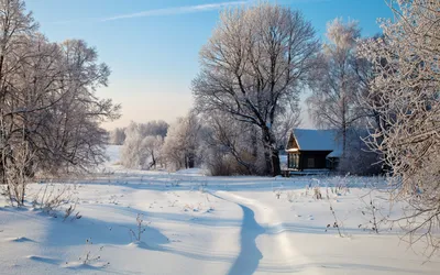Зима в деревне - 54 фото