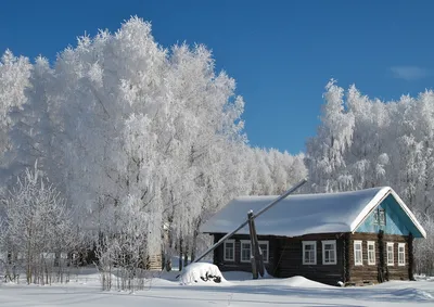 Морозная зима в деревне - 43 фото