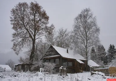 Фото: Зима в деревне. Татьяна. Пейзаж - Фотосайт Расфокус.ру