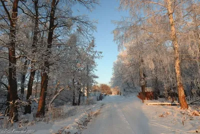 Зима в деревне / Зима в деревне / Фотография на PhotoGeek.ru