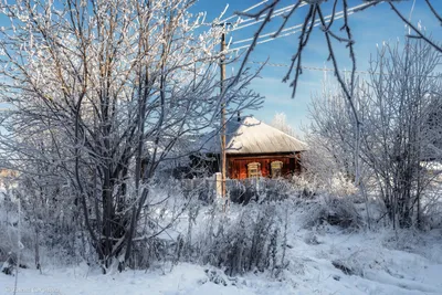 Зима в деревне. Фотограф Соколова Елена