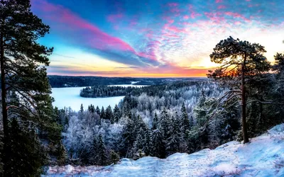 Картинка Зимняя тайга » Зима » Природа » Картинки 24 - скачать картинки  бесплатно