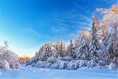 Сибирь зимой - фото и картинки: 85 штук