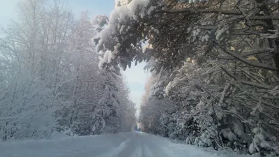 Зима фото скачать бесплатно