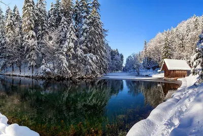 Обои зима фото обои зимние HD wallpapers winter скачать