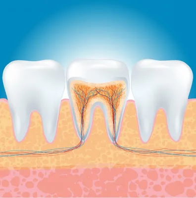 Лечение зубов в Сочи, цены в стоматологии Аврора
