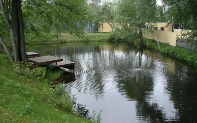 Как происходит строительство искусственных прудов и водоемов?