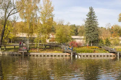 File:Cascade of artificial ponds Каскад искусственных прудов IMG 0751.jpg -  Wikimedia Commons