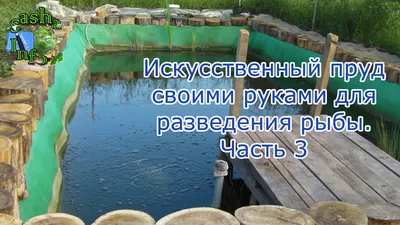 Искусственный пруд на даче - фото и картинки: 59 штук