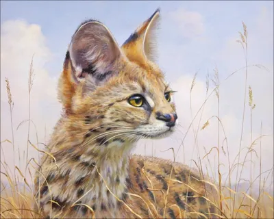 Изображение камышового кота в степи в момент охоты - Животный мир