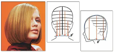 Прямое каре – особенности, техника стрижки, схемы, фото | Мир увлечений