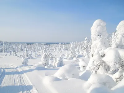 Карелия зимой. Особенности отдыха