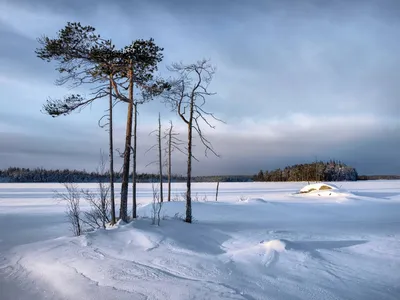 Что посмотреть в Карелии зимой: большое фотопутешествие — ТАМ!