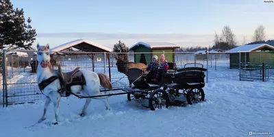 Карельский зоопарк, Республика Карелия посёлок Киркколахти - «В нем  обязательно стоит побывать, даже зимой» | отзывы