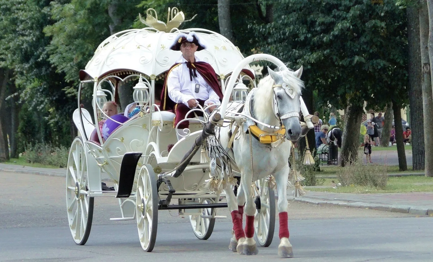 Тип кузова кареты где пассажиры сидят напротив. Карета Дилижанс Петергоф. Карета с лошадью. Лошадь запряженная в карету. Свадебная карета с лошадьми.
