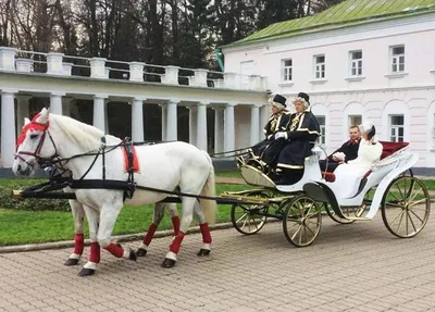 Аренда кареты «Victoria» с экипажем в Москве, заказать прокат кареты  недорого