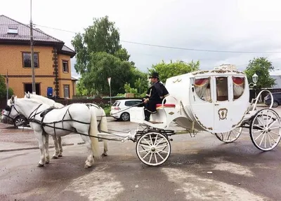 Игровой набор \"Карета с лошадью\