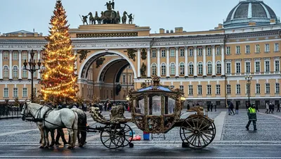 Конструктор детский из дерева / Сборная модель \"Карета для кукол с лошадью\"  за 799 ₽ купить в интернет-магазине KazanExpress