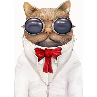 Картина по номерам «PaintBoy» Кот в очках, G466 купить в Минске: недорого,  в рассрочку в интернет-магазине Емолл бай