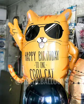 Кот в очках | Воздушные шарики с гелием, доставка по Днепру