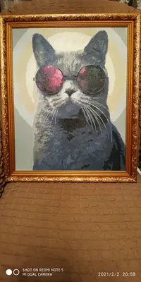 Видео урок! Рисуем гуашью, стильного кота в очках! #Dari_Art - YouTube