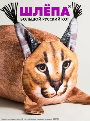 Игрушка ШЛЕПА БОЛЬШОЙ РУССКИЙ КОТ детям 25х15 см БЛОПТОП 63414239 купить за  1 742 ₽ в интернет-магазине Wildberries