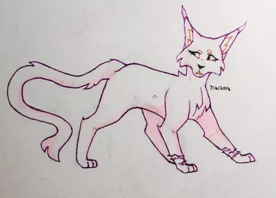 Рисунок карандашом коты воители - 71 фото