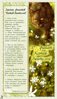 Закладки для книг «Я фанат Котов-Воителей» — Коты-Воители Знамение Звёзд