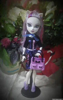 Кукла Monster High Кэтрин де Мяу - Куклы - YouLoveIt.ru
