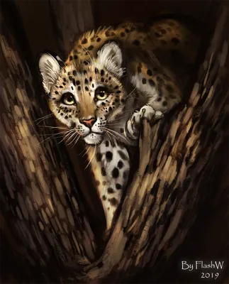 ⬇ Скачать картинки Леопард на дереве, стоковые фото Леопард на дереве в  хорошем качестве | Depositphotos