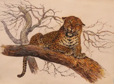 Обои Леопард, дикая природа, дерево, отдых, зеленые листья 1920x1200 HD  Изображение