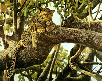 Фотообои - Леопард на дереве. Артикул 10005615.