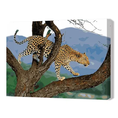 Леопард на дереве - 57 фото