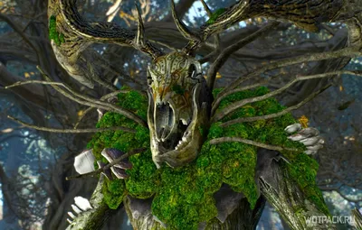 Ведьмак 3: «Сердце леса». Прохождение, все концовки